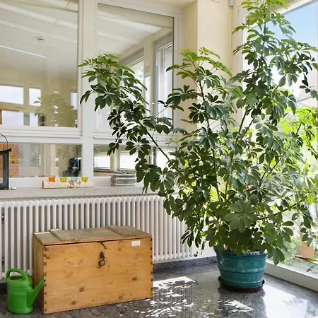 Zum Goldenen Kopf Apartment Elzach