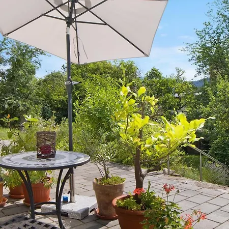 Zum Goldenen Kopf Apartment Elzach